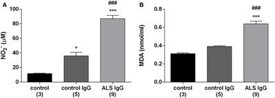 Immunoglobulins G from Sera of Amyotrophic Lateral Sclerosis Patients Induce Oxidative Stress and Upregulation of Antioxidative System in BV-2 Microglial Cell Line